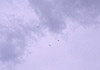 Img0008_sm Img0008_sm